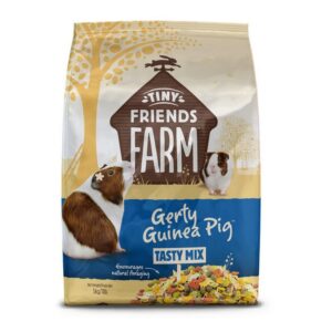 Tiny Friends Farm Gerty Guinea Pig 5kg