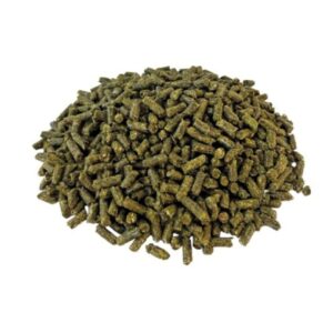 Simple System Stud Balance + 15 kg