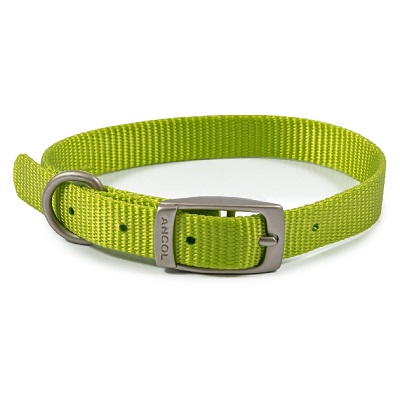 Ancol Viva Buckle Col Lime 26-31cm