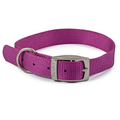 Ancol Viva Buckle Col Purple 28-36cm