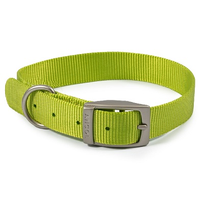 Ancol Viva Buckle Col Lime 35-43cm