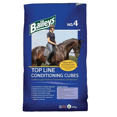 Baileys No.04 TopLine Condition Cubes