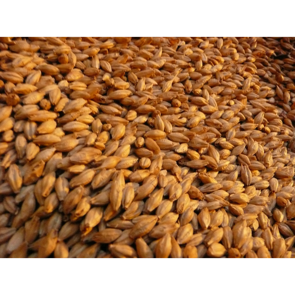 Whole Barley