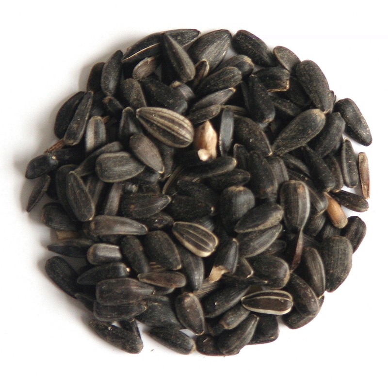 Hutton Mill Black Sunflower Seed