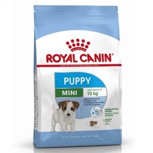 RC Mini Puppy
