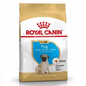 RC Pug Puppy