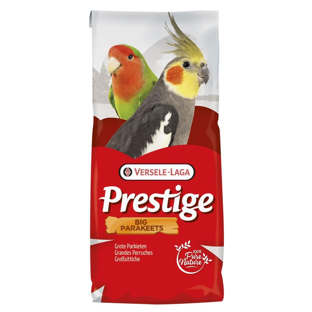 VL Big Parakeet Standard Prestige