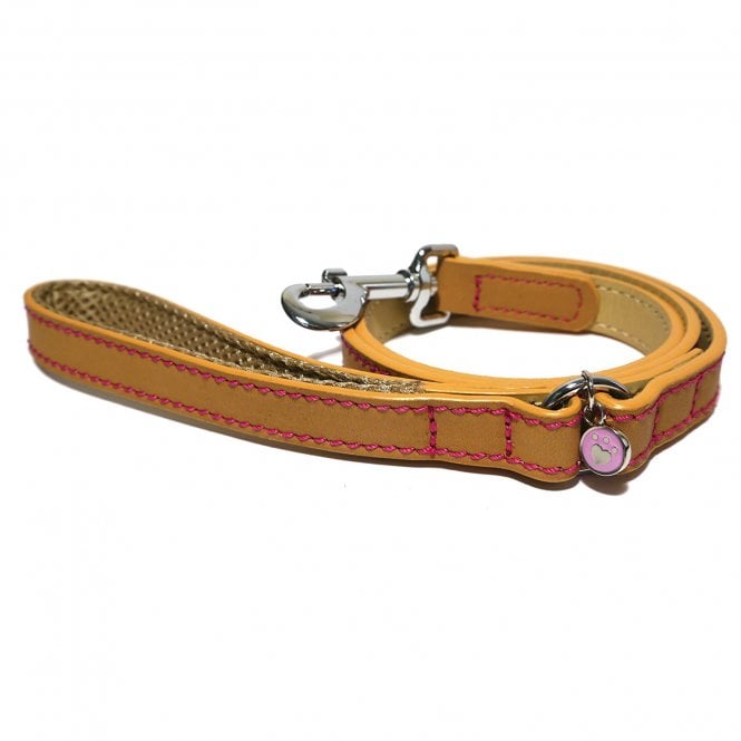 Lux Leather Tan Lead 40″ x 3/4″