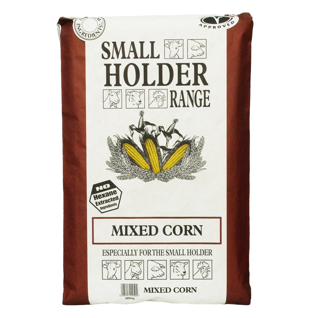 A&P Mixed Corn