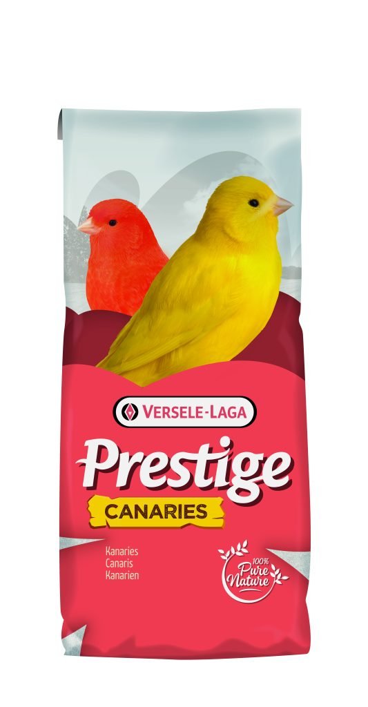 VL Canary Light Prestige