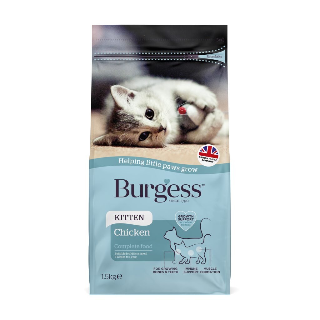 Burgess Kitten Chicken