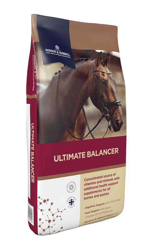 D & H Ultimate Balancer