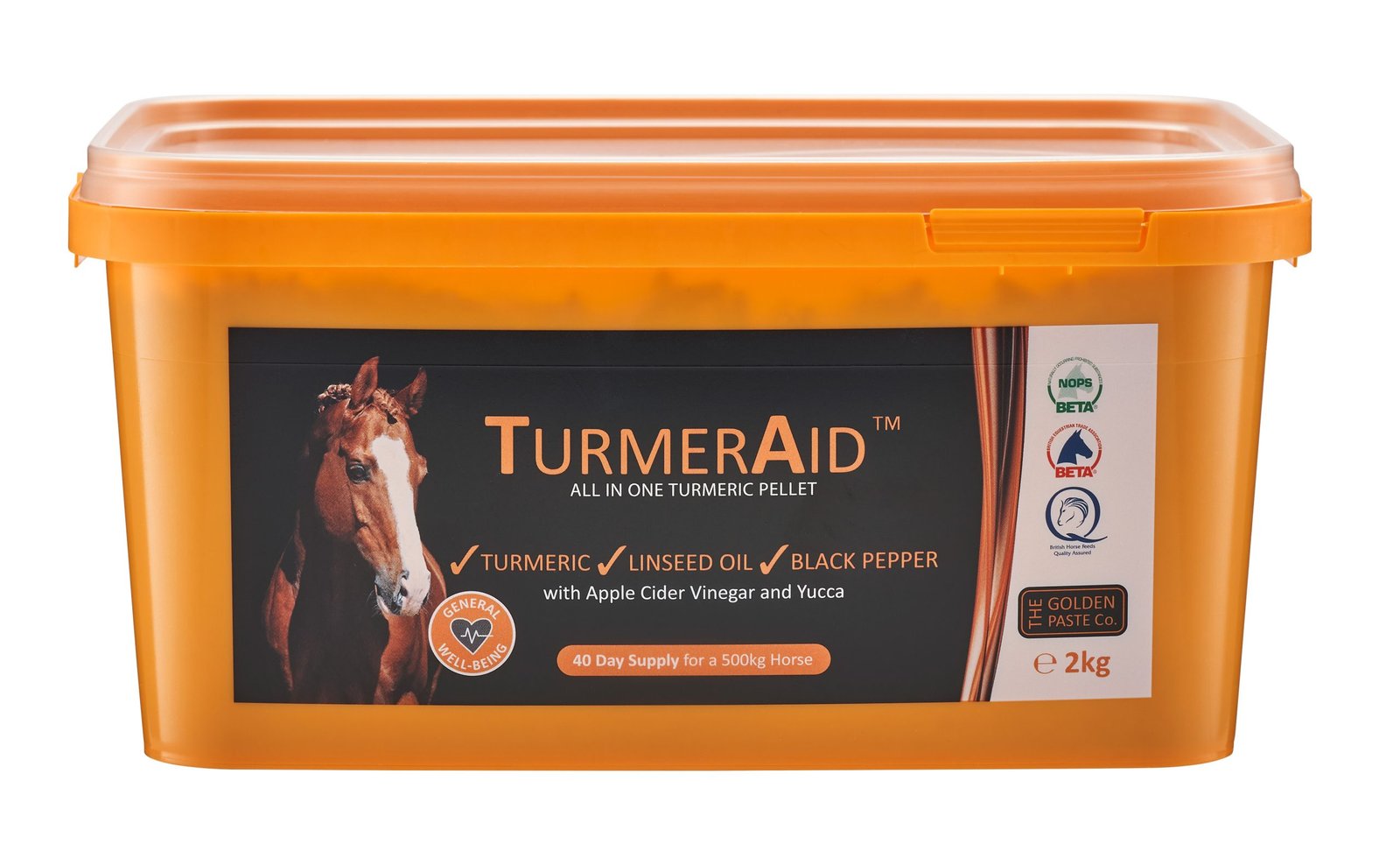 The Golden Paste Co TurmerAid