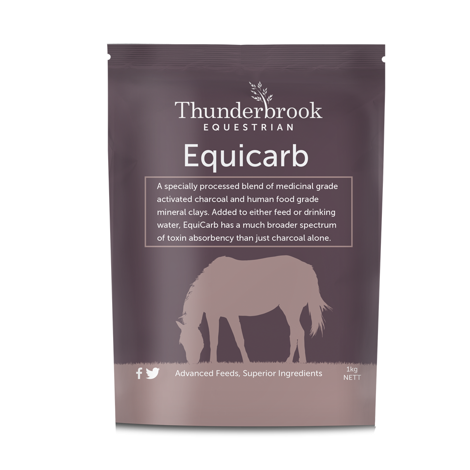 Thunderbrook Equicarb