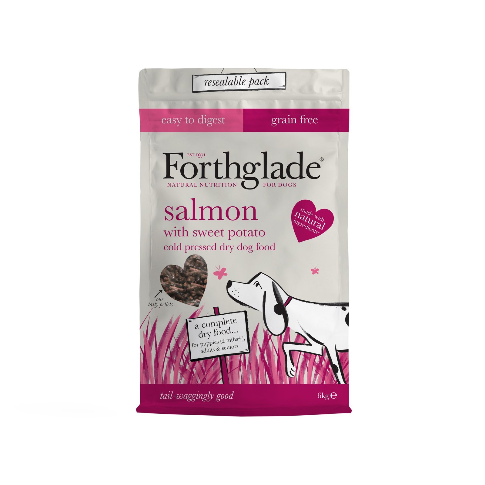 Forthglade Adult Cold GF Salmon
