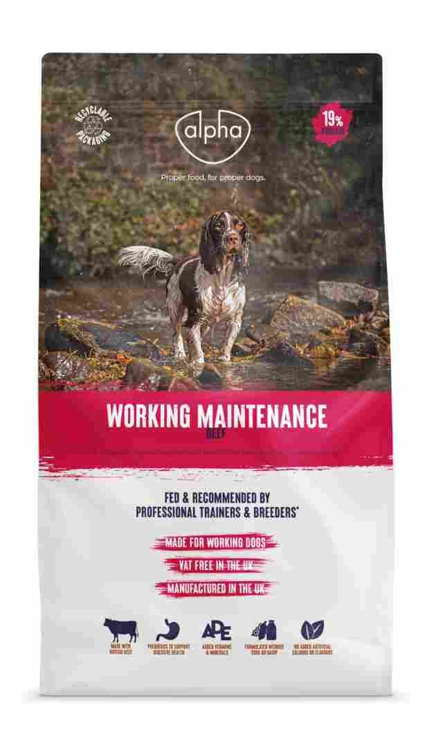 Alpha Adult Maintain Worker Beef
