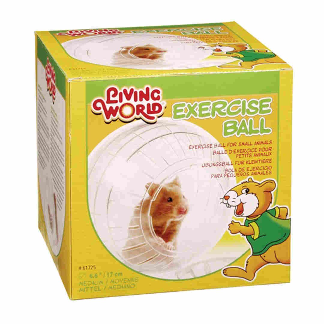 Living World Exercise Ball Medium