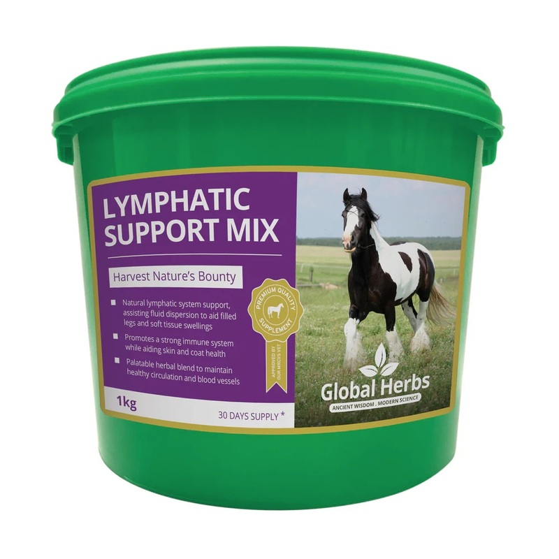 Global H Lymphatic Support Mix 1 kg